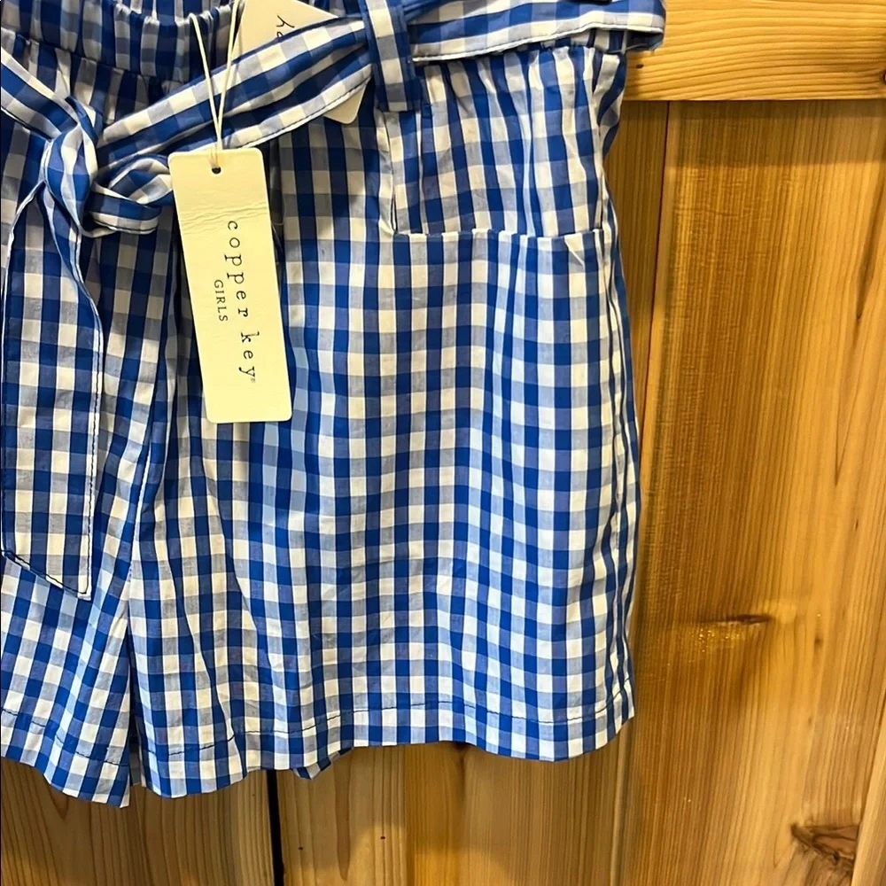 Copper Key Blue and White Gingham High Waist Paperbag Shorts